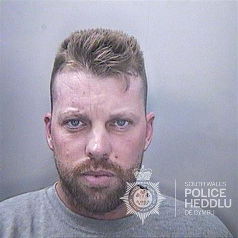 2019 South Wales paternal sex abuse case .